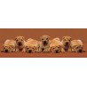 Keith Kimberlin - Sharpei Pups