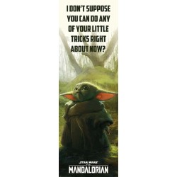 Star Wars: The Mandalorian (Special Tricks)