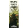 Star Wars: The Mandalorian (Special Tricks)