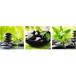 Wellness - Green
