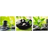 Wellness - Green
