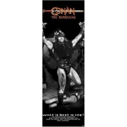 Poster - Conan - The Barbarian (dörraffisch)