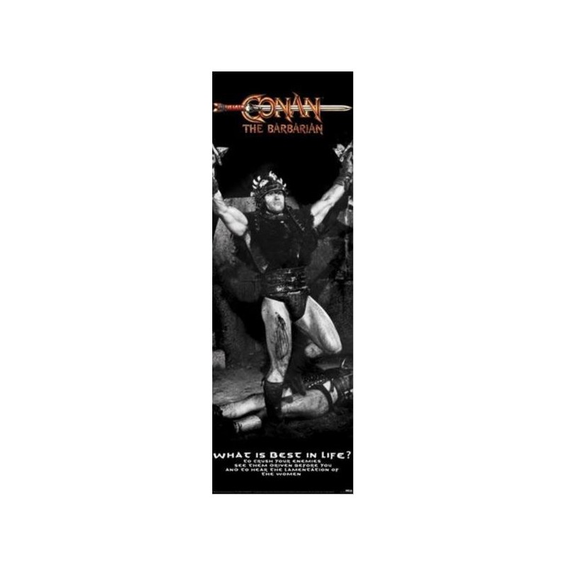 Poster - Conan - The Barbarian (dörraffisch)