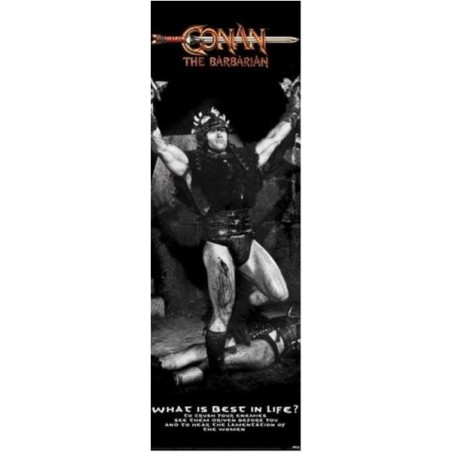 Poster - Conan - The Barbarian (dörraffisch)
