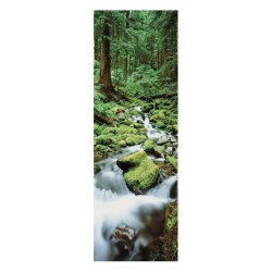 Vattenfall i skogen - Waterfall