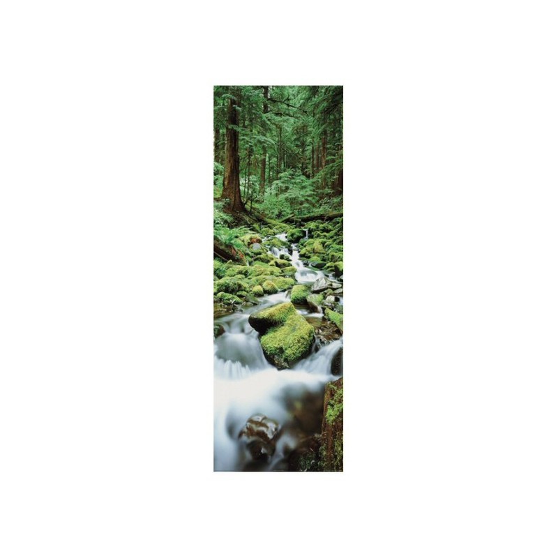 Vattenfall i skogen - Waterfall