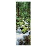 Vattenfall i skogen - Waterfall