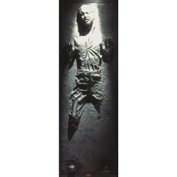 Star Wars - Han Solo frozen in carbonite