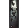 Star Wars - Han Solo frozen in carbonite
