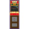 ARCADE GAMER